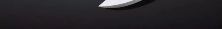 LA119605